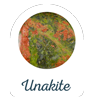 Unakite